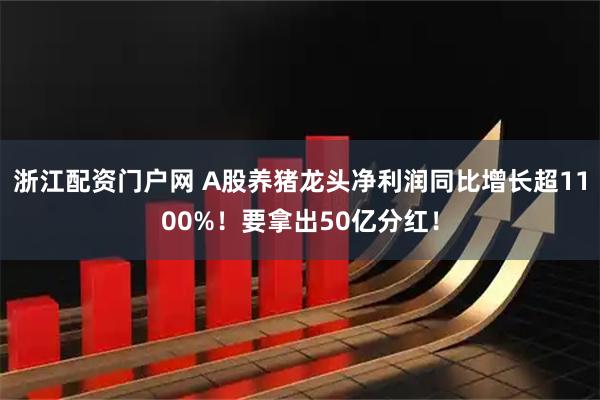 浙江配资门户网 A股养猪龙头净利润同比增长超1100%！要拿出50亿分红！
